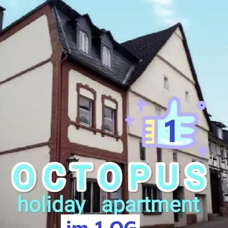 Apartment Octopus-1 Monteurwohnung In Zentrum! 2-zkb In 1og Hofgeismar