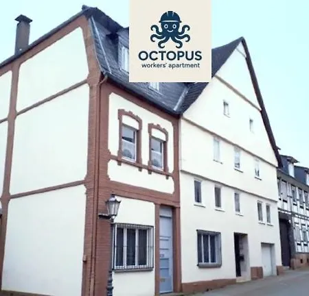 Apartment Octopus-1 Monteurwohnung In Zentrum! 2-zkb In 1og